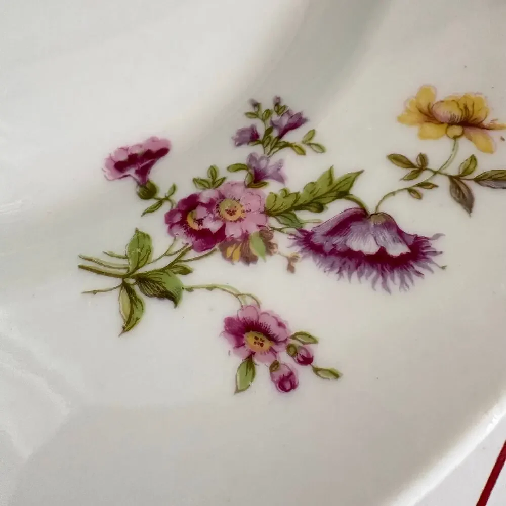 Bernardaud & Co Limoges early country nice